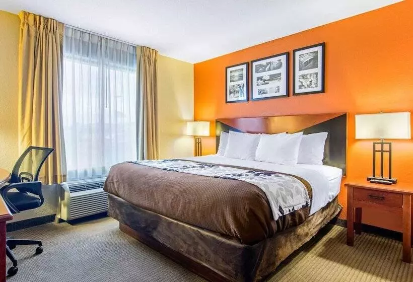 호텔 Sleep Inn & Suites