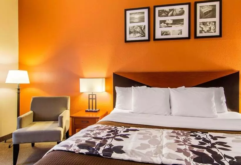 호텔 Sleep Inn & Suites