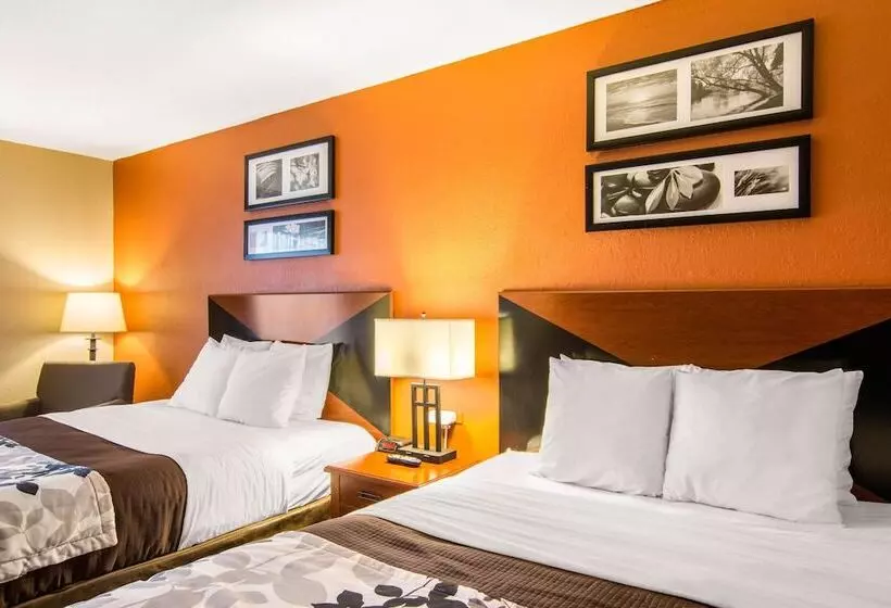 호텔 Sleep Inn & Suites