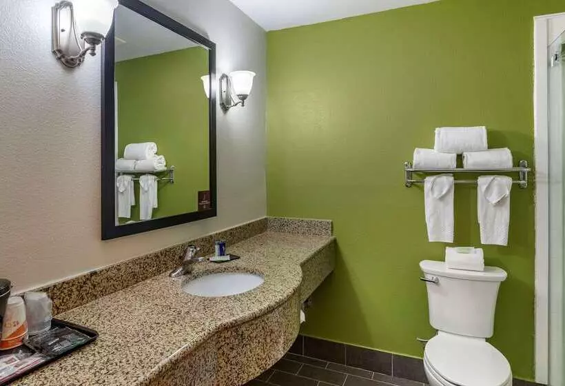 Отель Sleep Inn & Suites Stockbridge Atlanta South