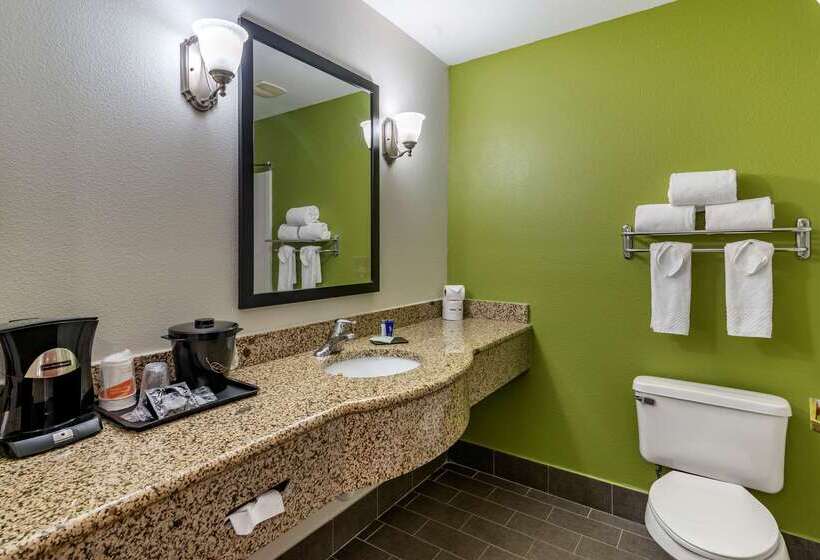 Отель Sleep Inn & Suites Stockbridge Atlanta South