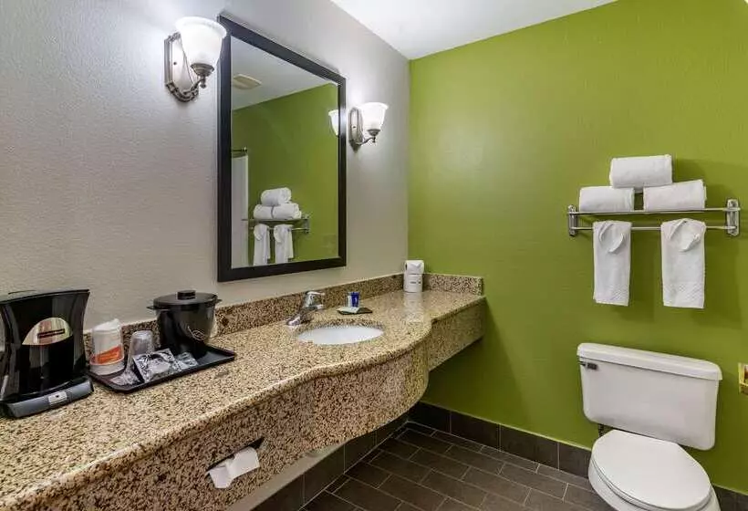 Отель Sleep Inn & Suites Stockbridge Atlanta South
