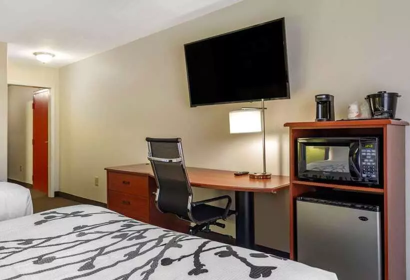 Отель Sleep Inn & Suites Stockbridge Atlanta South