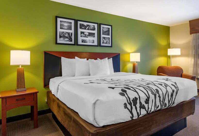 Отель Sleep Inn & Suites Stockbridge Atlanta South