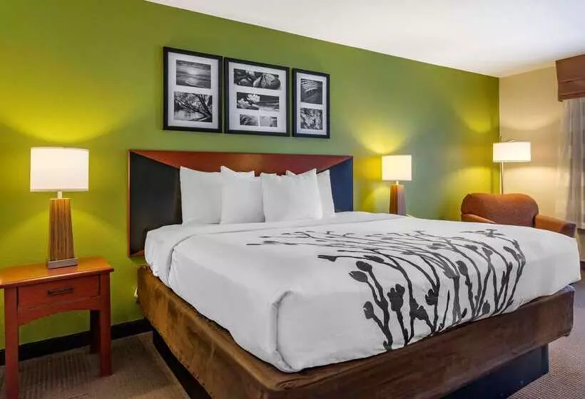Отель Sleep Inn & Suites Stockbridge Atlanta South
