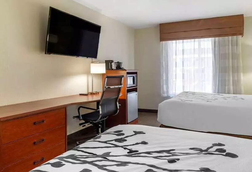 Отель Sleep Inn & Suites Stockbridge Atlanta South