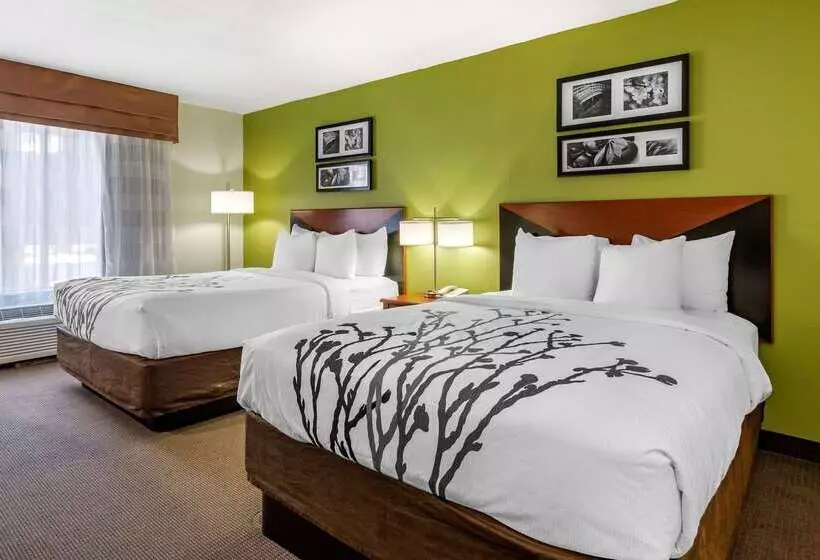 Отель Sleep Inn & Suites Stockbridge Atlanta South