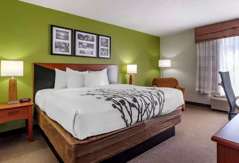 Отель Sleep Inn & Suites Stockbridge Atlanta South