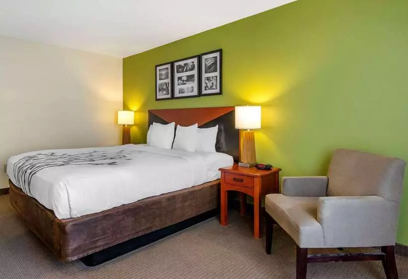 Отель Sleep Inn & Suites Stockbridge Atlanta South