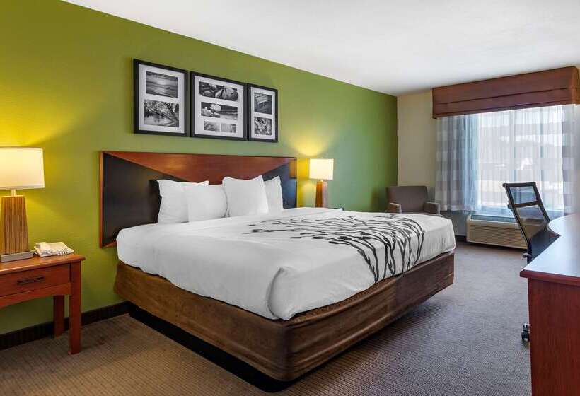 Отель Sleep Inn & Suites Stockbridge Atlanta South