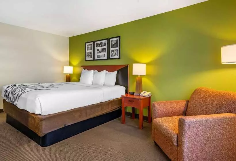 Отель Sleep Inn & Suites Stockbridge Atlanta South