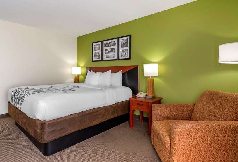 Отель Sleep Inn & Suites Stockbridge Atlanta South
