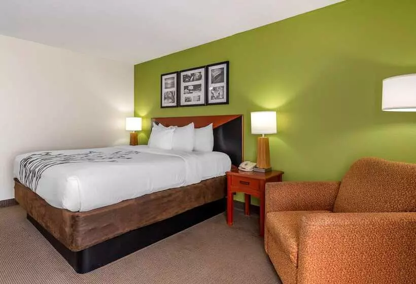 Отель Sleep Inn & Suites Stockbridge Atlanta South