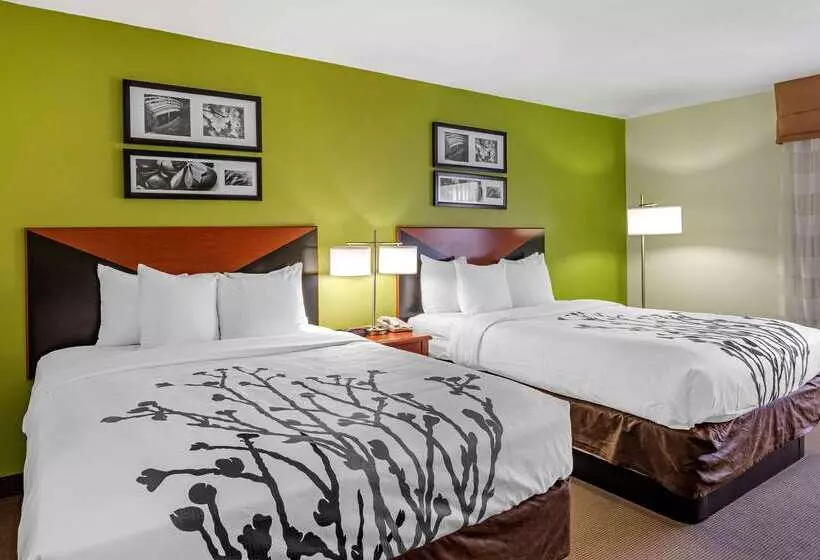 Отель Sleep Inn & Suites Stockbridge Atlanta South