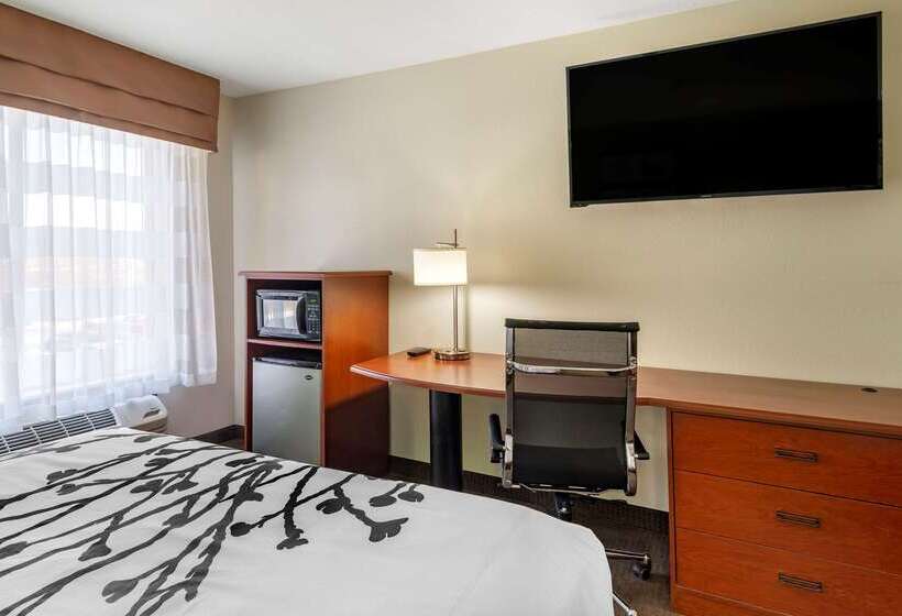 Отель Sleep Inn & Suites Stockbridge Atlanta South