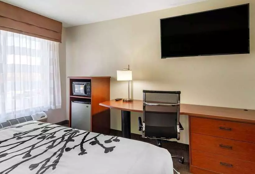 Отель Sleep Inn & Suites Stockbridge Atlanta South