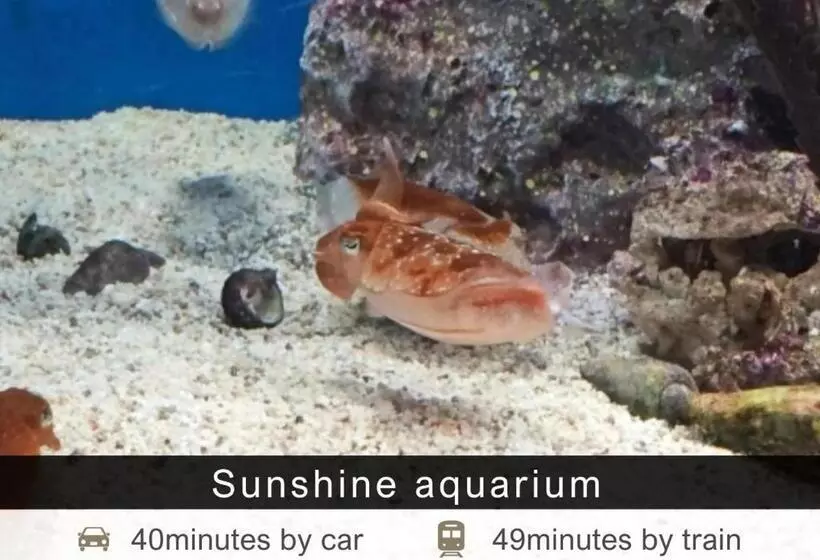 호텔 Tokyu Stay Aoyama Premier