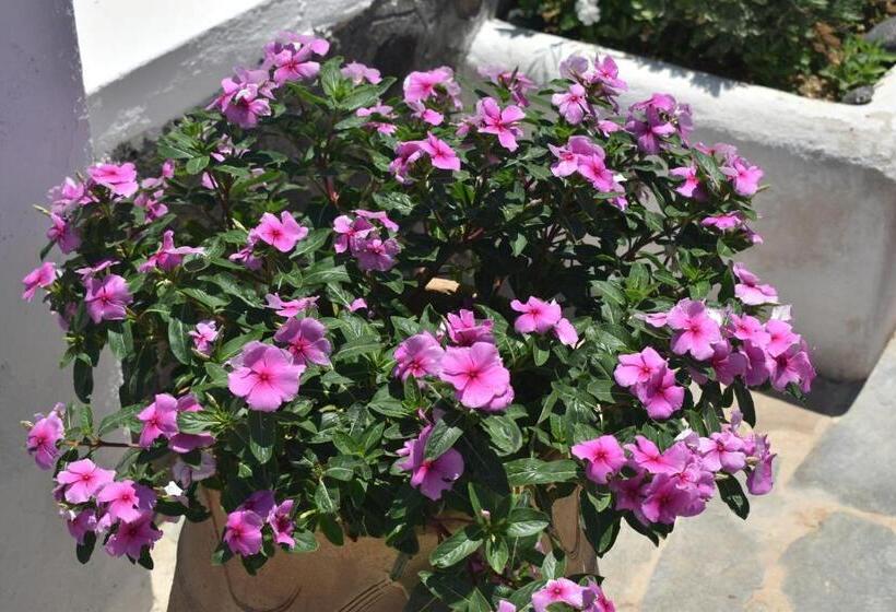 Ostria Beach Studios