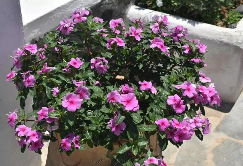 Ostria Beach Studios