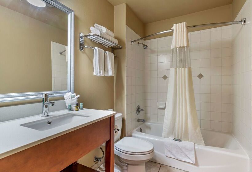 호텔 Best Western Dos Rios