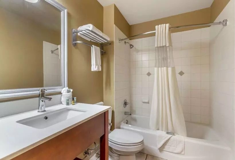 Otel Best Western Dos Rios