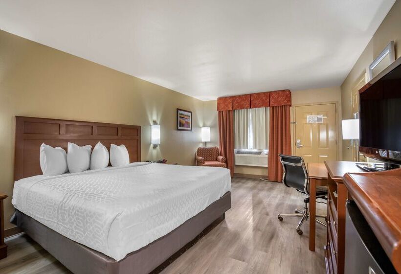 호텔 Best Western Dos Rios