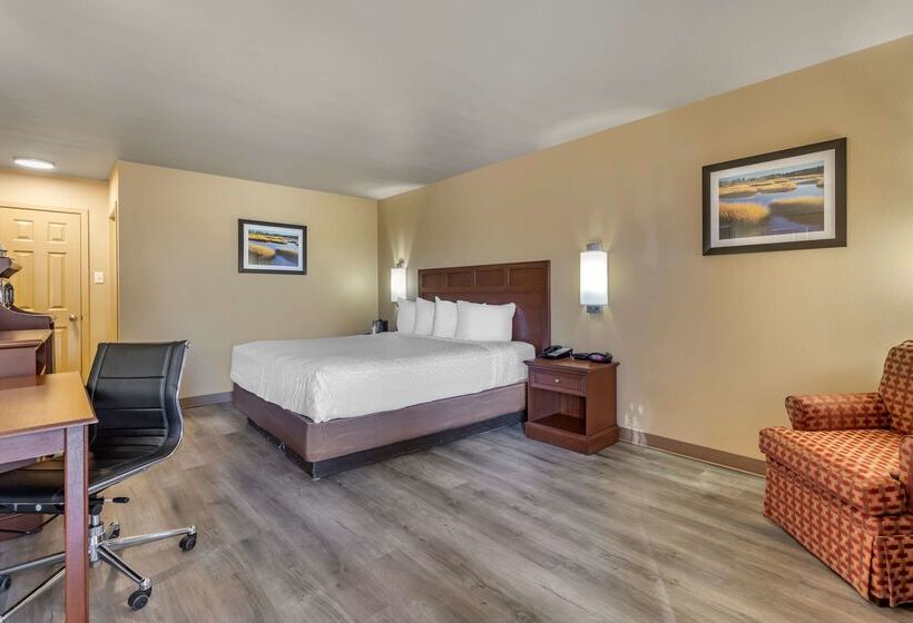 호텔 Best Western Dos Rios