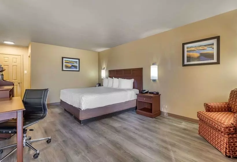 Otel Best Western Dos Rios