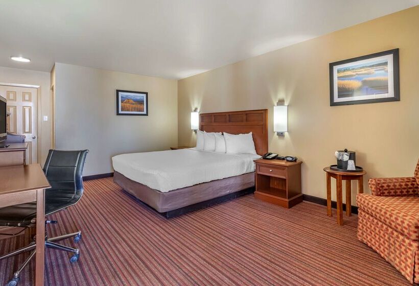 호텔 Best Western Dos Rios