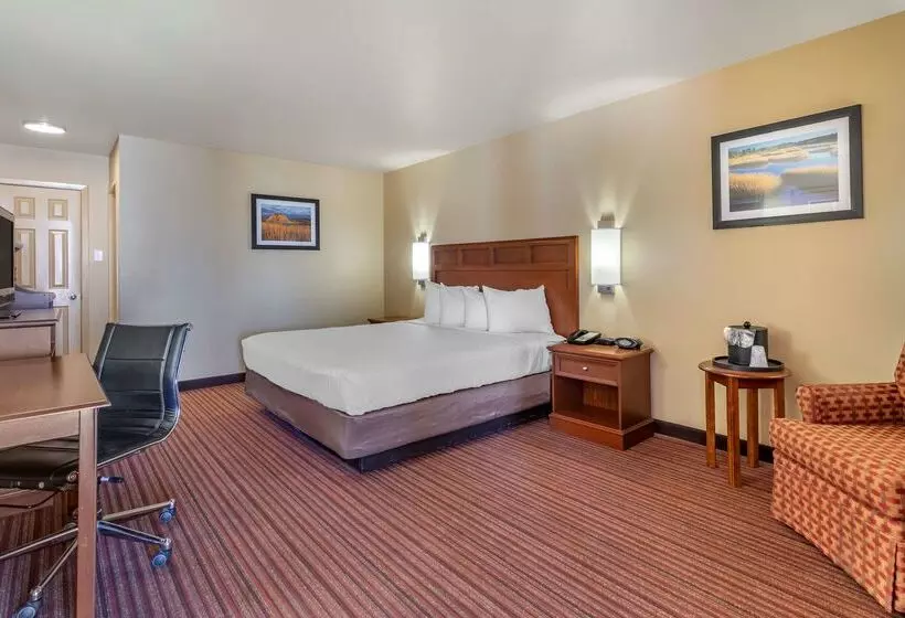 Otel Best Western Dos Rios