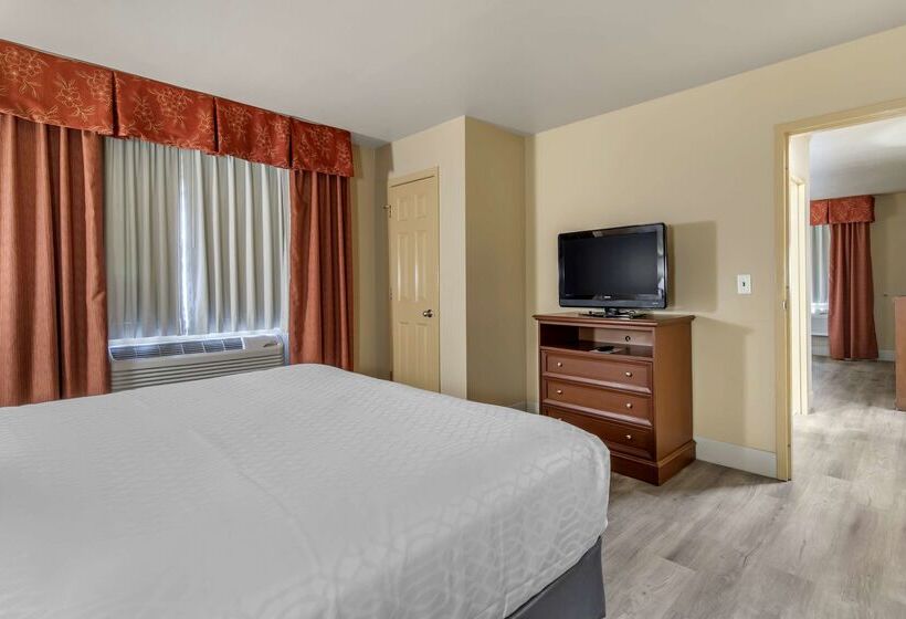 호텔 Best Western Dos Rios