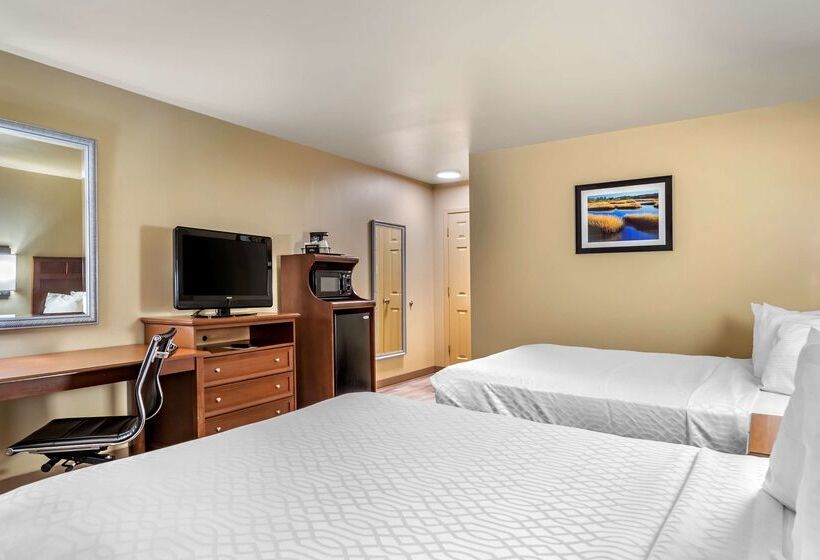 호텔 Best Western Dos Rios