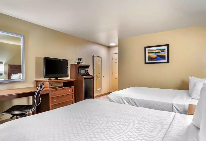 Otel Best Western Dos Rios