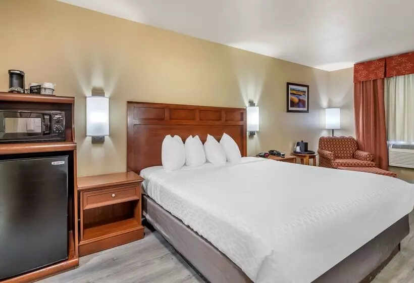 Otel Best Western Dos Rios