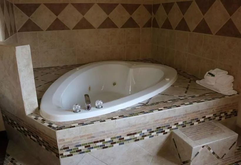 בית מלון כפרי Best Western Parsons Inn