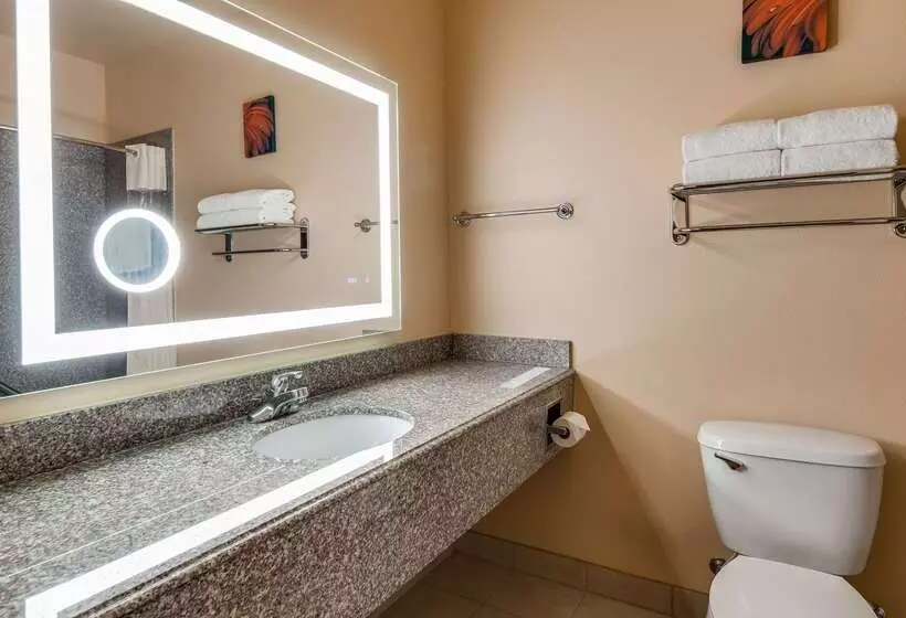 酒店 Best Western Plus Battleground Inn & Suites