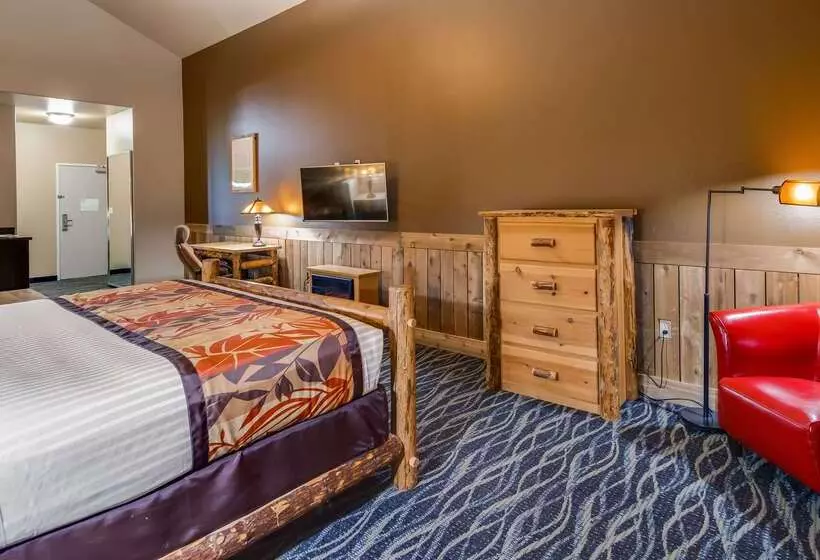 酒店 Best Western Plus Battleground Inn & Suites