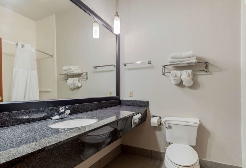 ホテル Best Western Plus Mckinney Inn And Suites