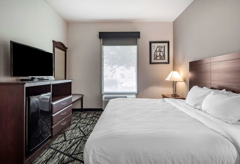 ホテル Best Western Plus Mckinney Inn And Suites