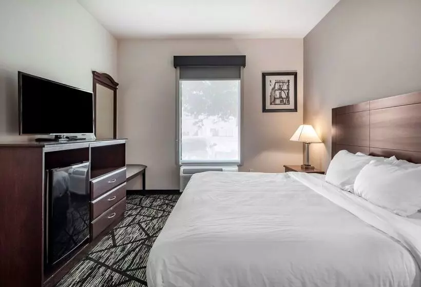 هتل Best Western Plus Mckinney Inn And Suites