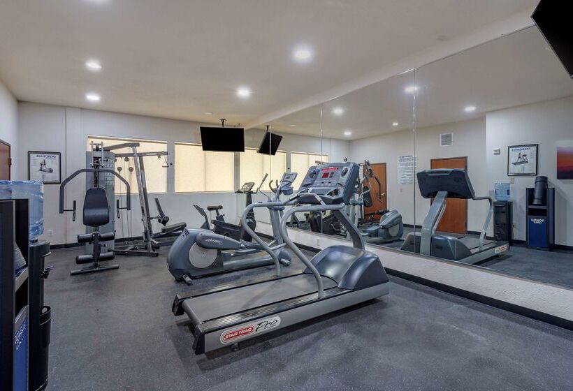 ホテル Best Western Plus Mckinney Inn And Suites