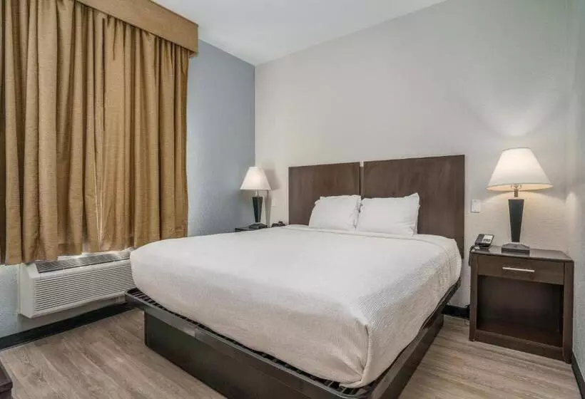 酒店 Best Western Plus Silver Creek Inn