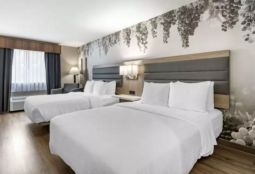 Szálloda Best Western Plus Vineyard Inn