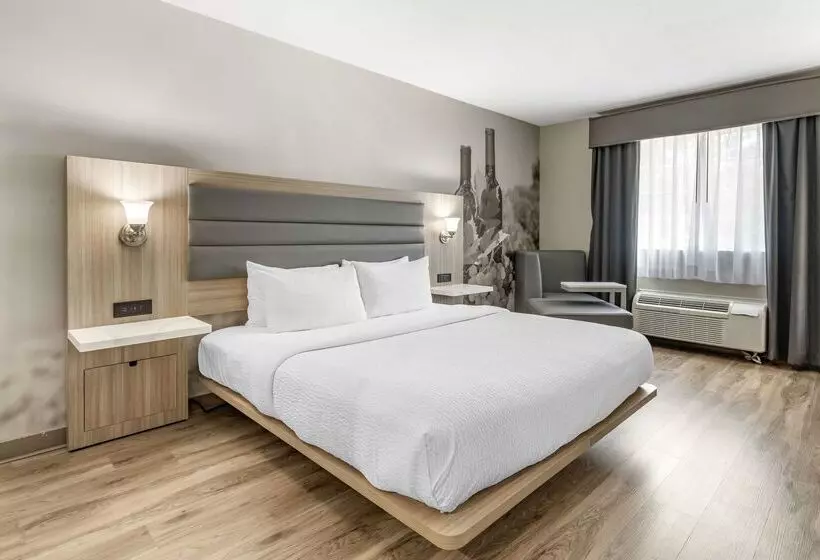 Szálloda Best Western Plus Vineyard Inn