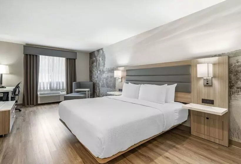 Szálloda Best Western Plus Vineyard Inn