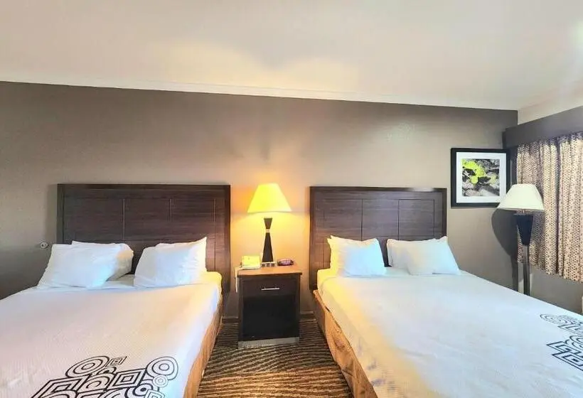 ホテル Days Inn By Wyndham Navasota