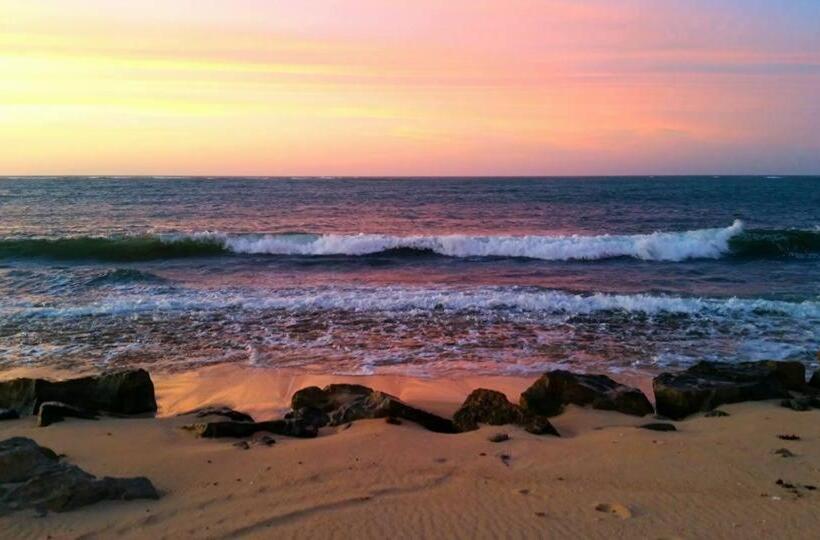 فندق Ningaloo Lodge Exmouth