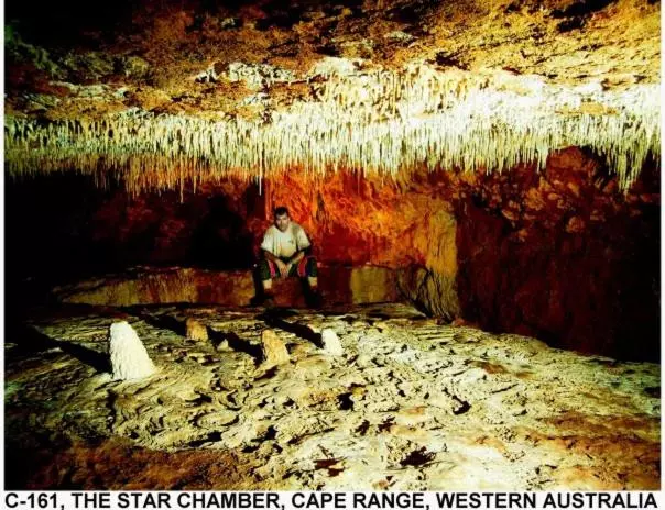 فندق Ningaloo Lodge Exmouth