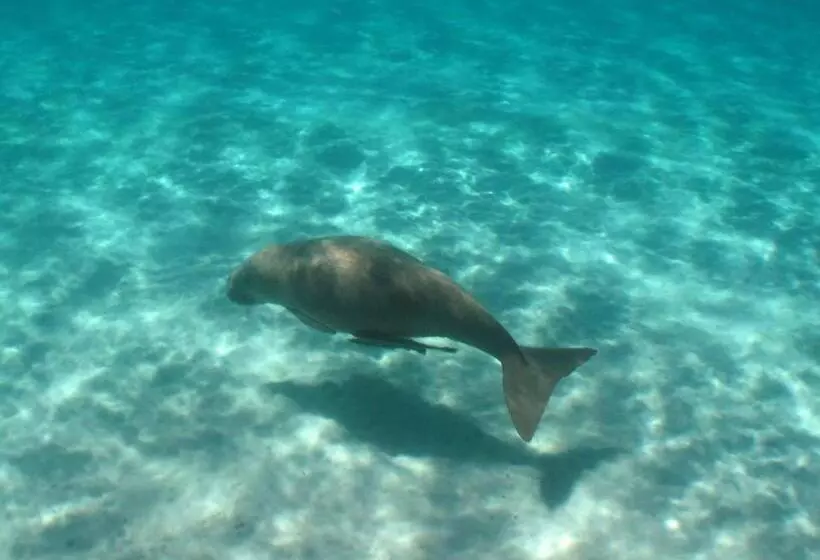 فندق Ningaloo Lodge Exmouth