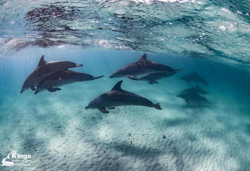 فندق Ningaloo Lodge Exmouth